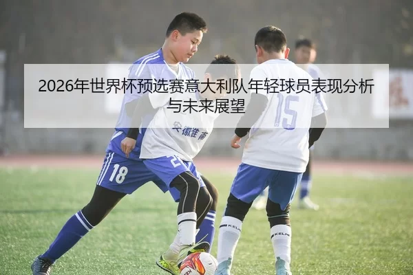 2026年世界杯预选赛意大利队年轻球员表现分析与未来展望