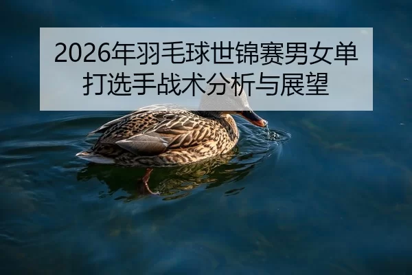 2026年羽毛球世锦赛男女单打选手战术分析与展望