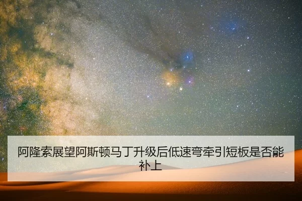 a-long-suo-zhan-wang-a-si-dun-ma-ding-sheng-ji-hou-di-su-wan-qian-yin-duan-ban-shi-fou-neng-bu-shang-2-411.jpg